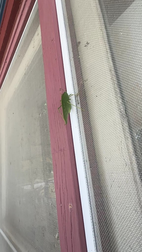  Spring Green General Store