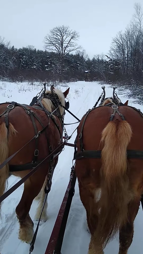  Wedges Creek Hideaway