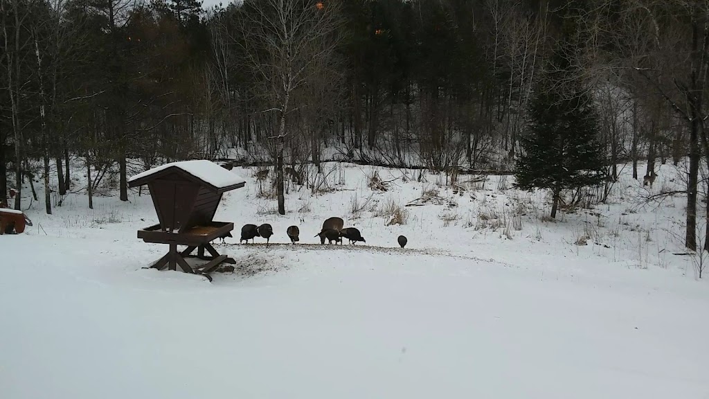  Thunder Mountain Valley Inn