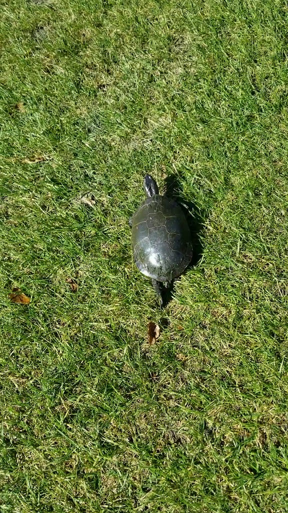  Door Creek Golf Course