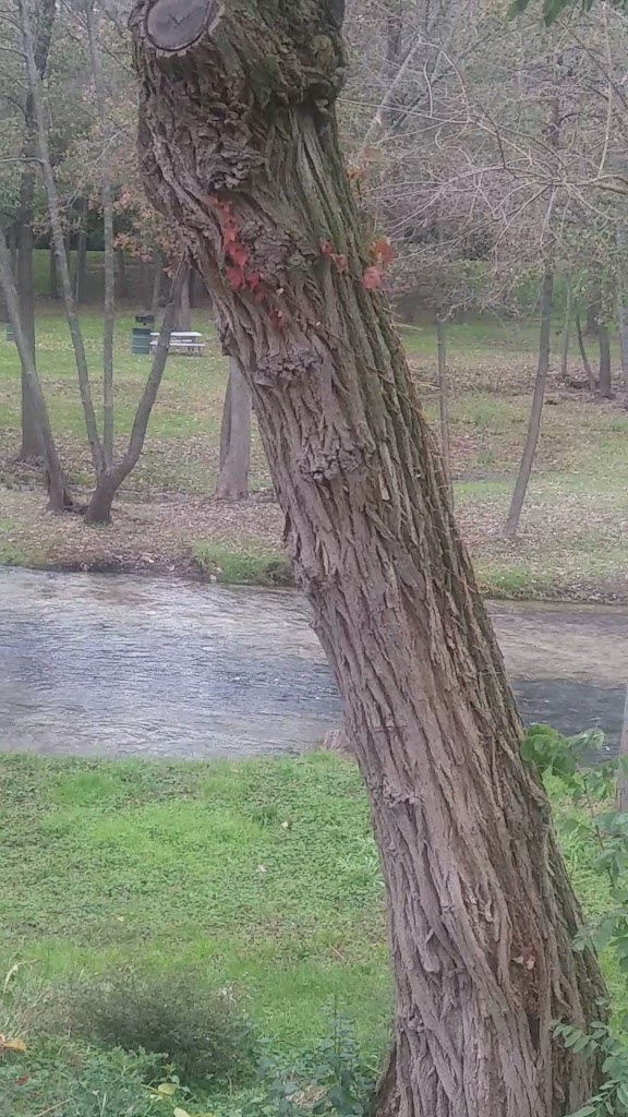  Lake-Aire Restaurant