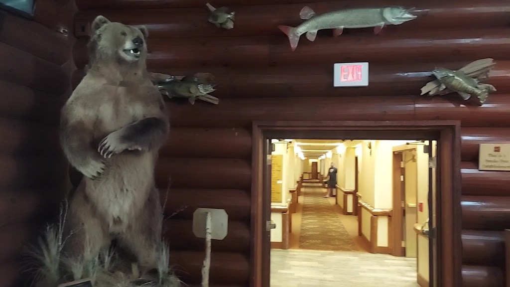  The Waters of Minocqua