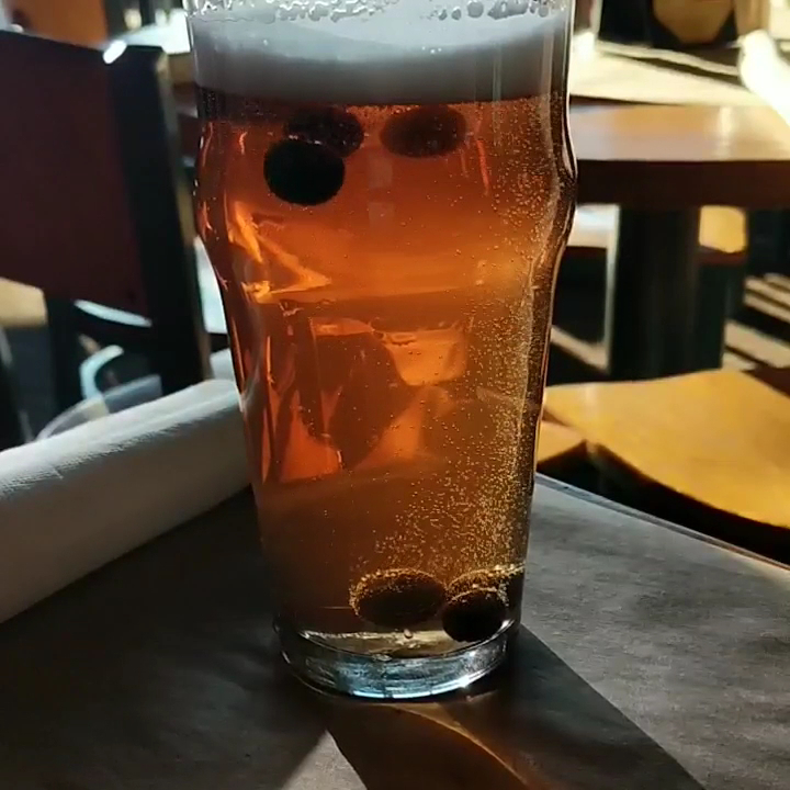  Fox River Brewery and Restaurant