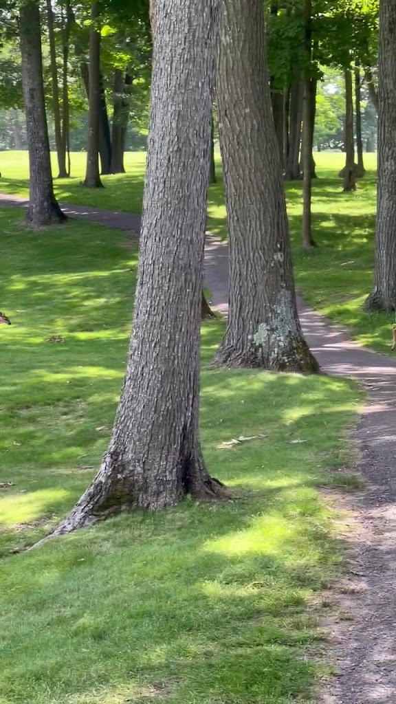  Cumberland Golf Course