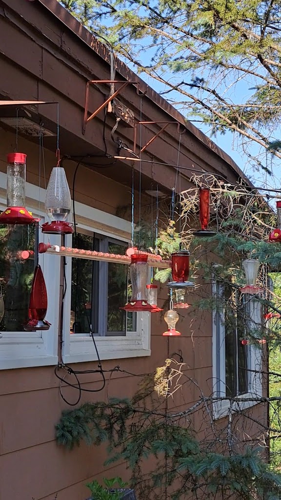  R & R Bayview Resort & Restaurant