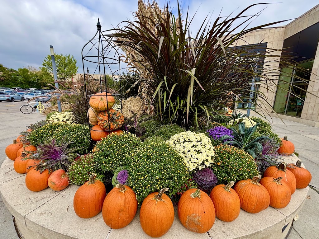  Hilldale Shopping Center