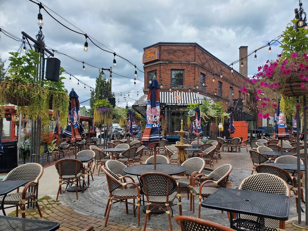  Café Hollander - Downer