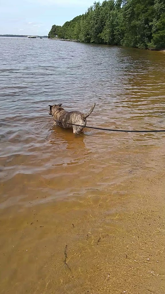  Rustic Ridge Restaurant & Bar