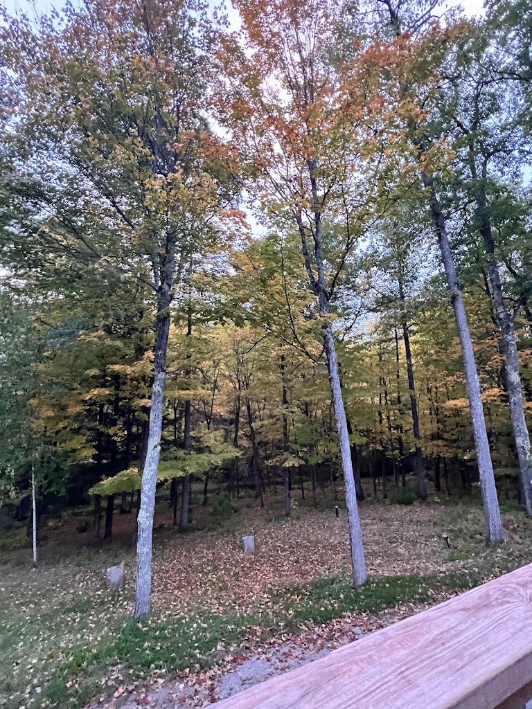  Harrison's Pub and Grill