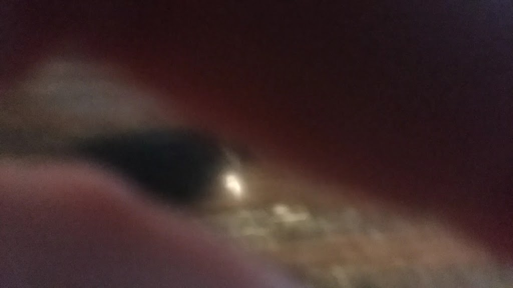  Red Robin Gourmet Burgers and Brews