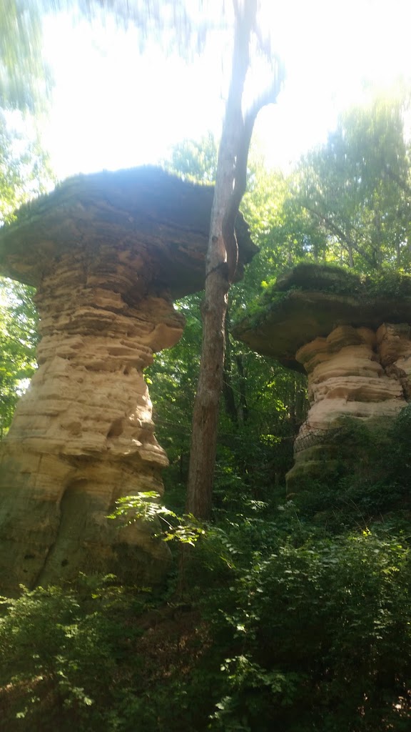  Famous Dave's Bar-B-Que