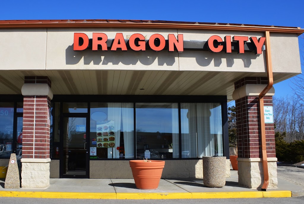  Dragon City