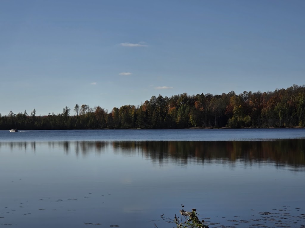  Moondance Bar & Grill