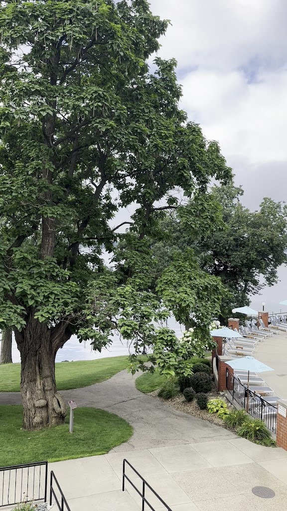  Oakwood Restaurant and Bar