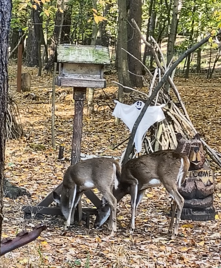  Majerle's Black River Grill