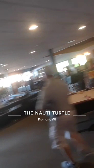  The Nauti Turtle