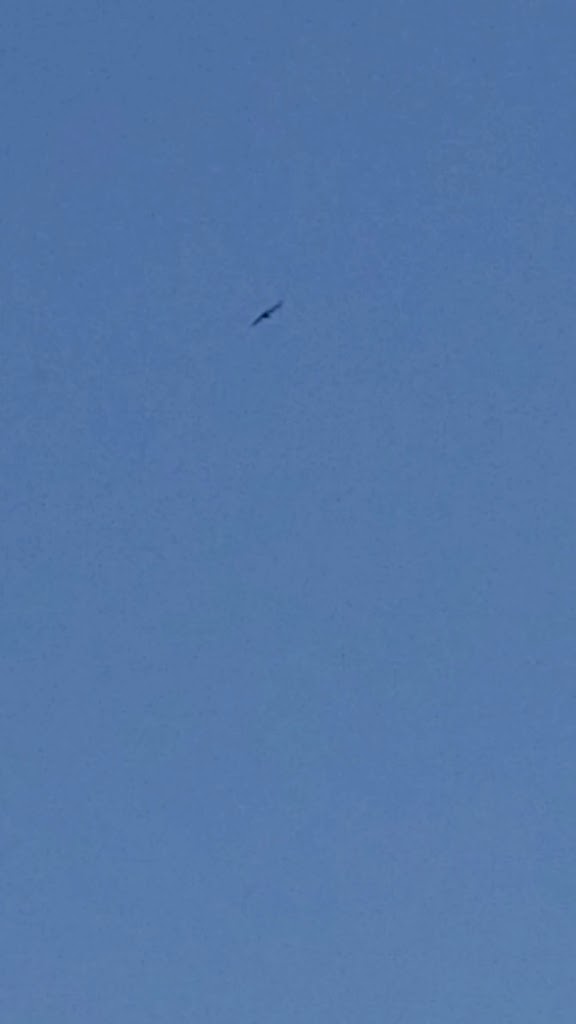  The Golf Club At Camelot