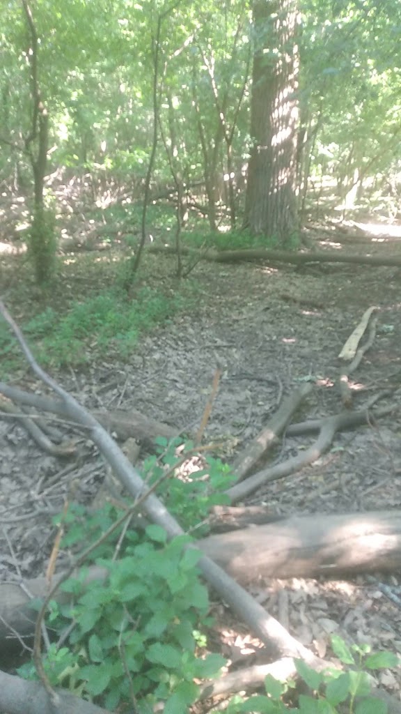  Branding Iron Supper Club