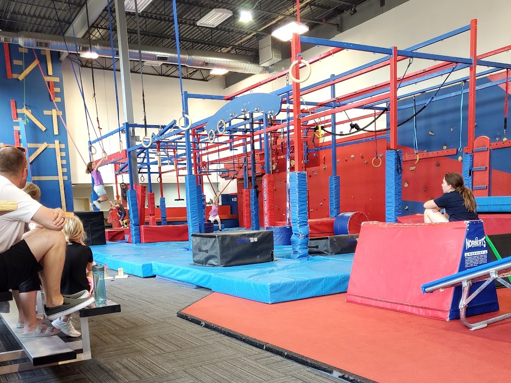  Conquer Ninja Gyms - Burnsville
