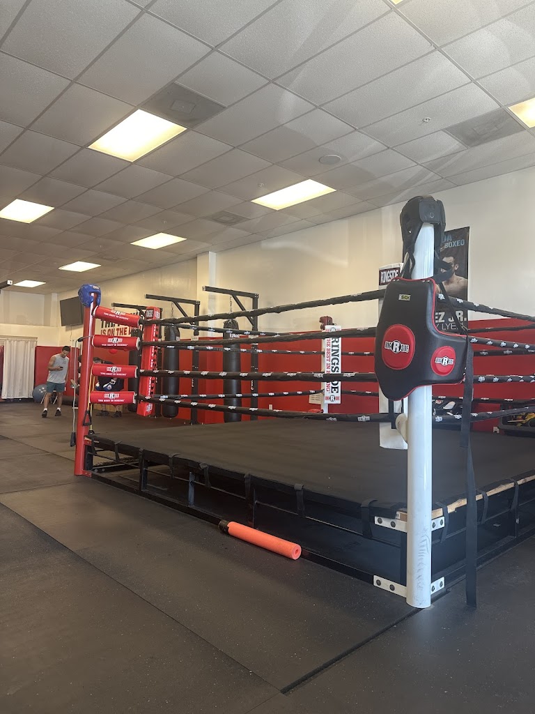  The Sweet Science Boxing Fitness
