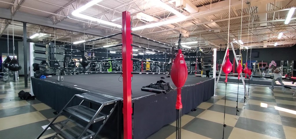  GYMBOX Tampa - (Previously Calta's 24/7 Fitness & BOXING)