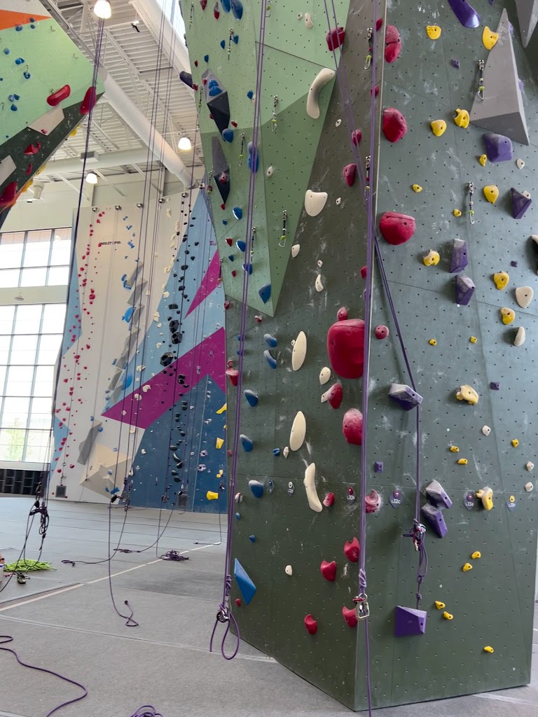  Movement Design District