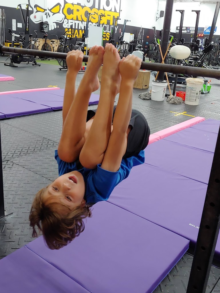  Gymnastics Palace Miami Lakes