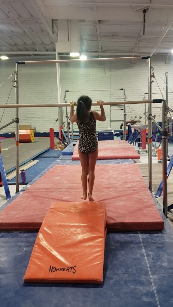  VIBE Gymnastics