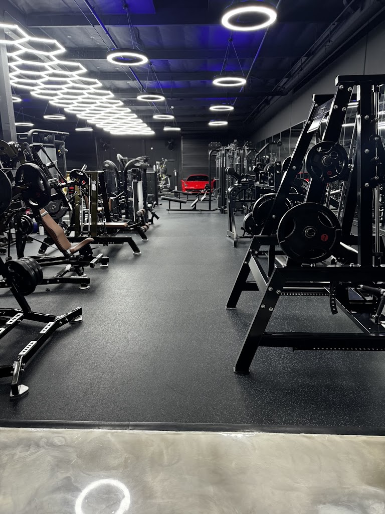  Gorilla Fitness Elite Training