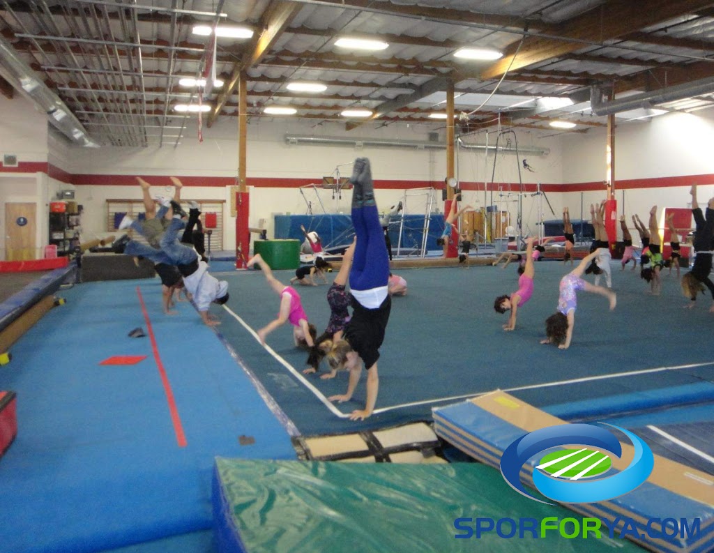  Gymtowne Gymnastics SSF