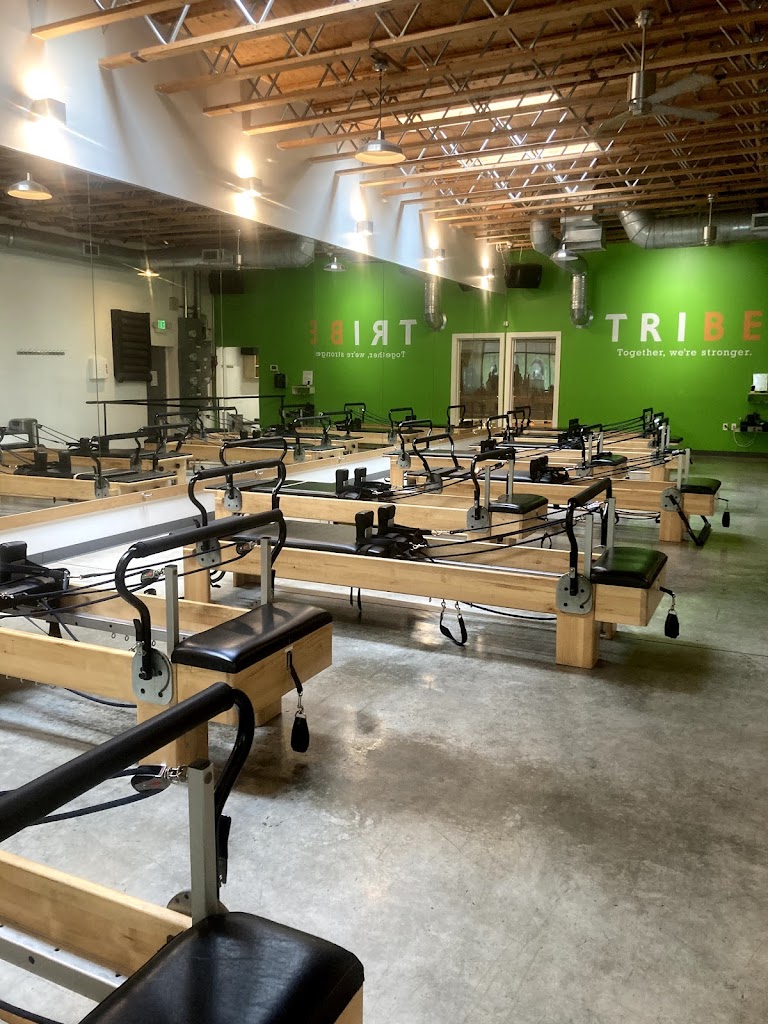  TRIBE Fitness
