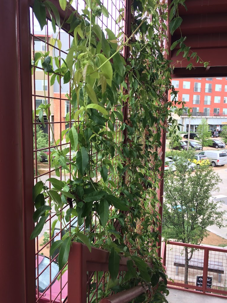  SYNC Yoga & Wellbeing