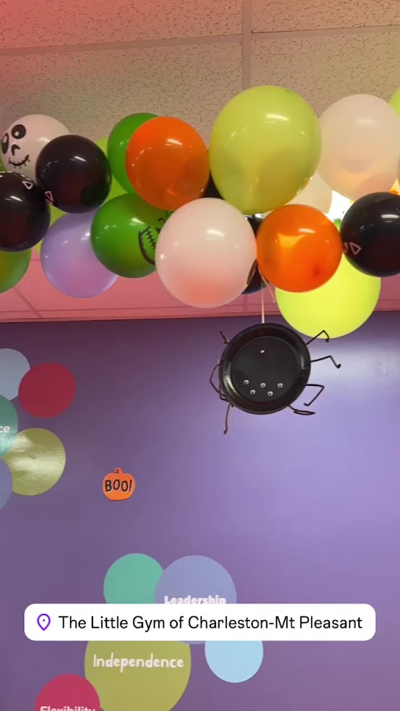  The Little Gym of Charleston-Mt. Pleasant