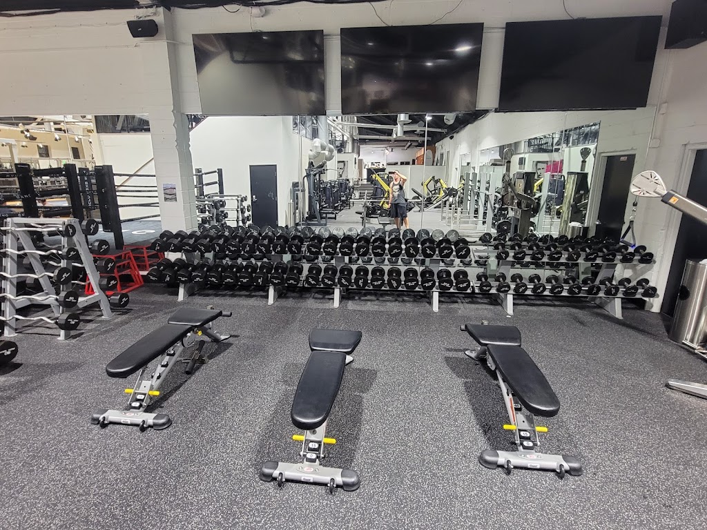  THE BXNG CLUB Solana Beach