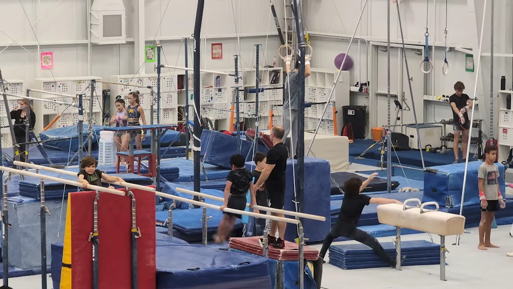  Fun & Fitness Gymnastics