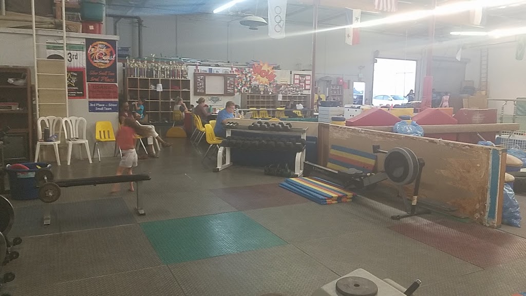  Gymnastique International