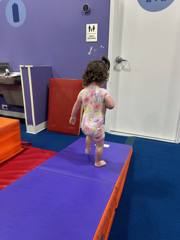  The Little Gym of Fruit Cove