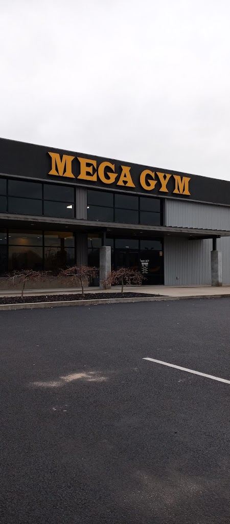  Mega Gym Inc.