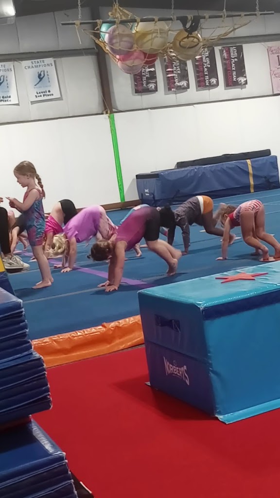  eNVy Gymnastics
