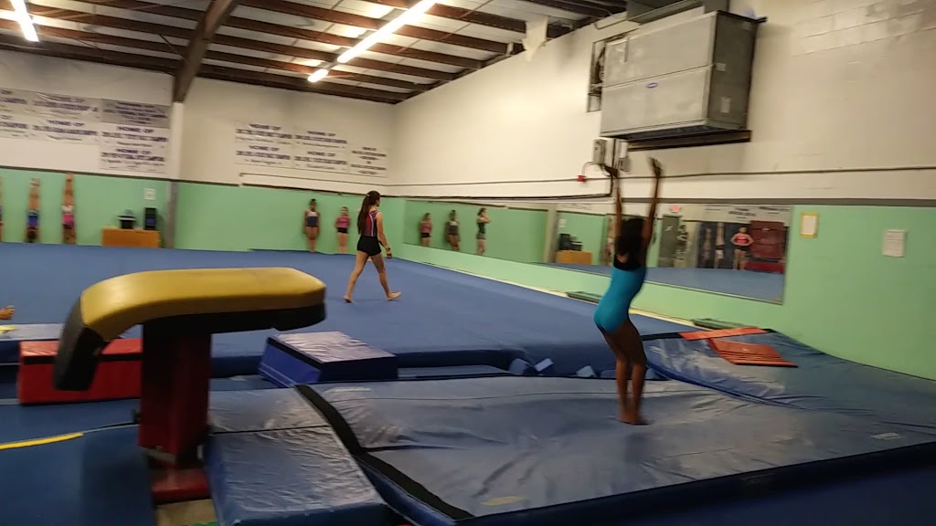  Stars Gymnastics