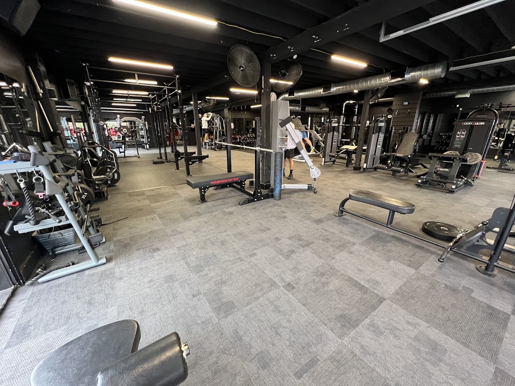  Prolific Health and Fitness