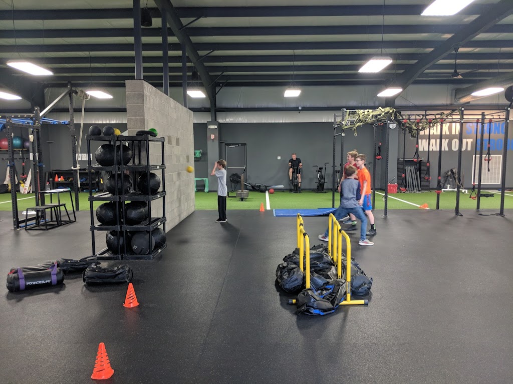  Force Fitness and Performance