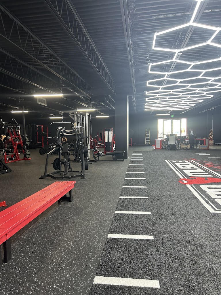  ProMuscle Lifting Club