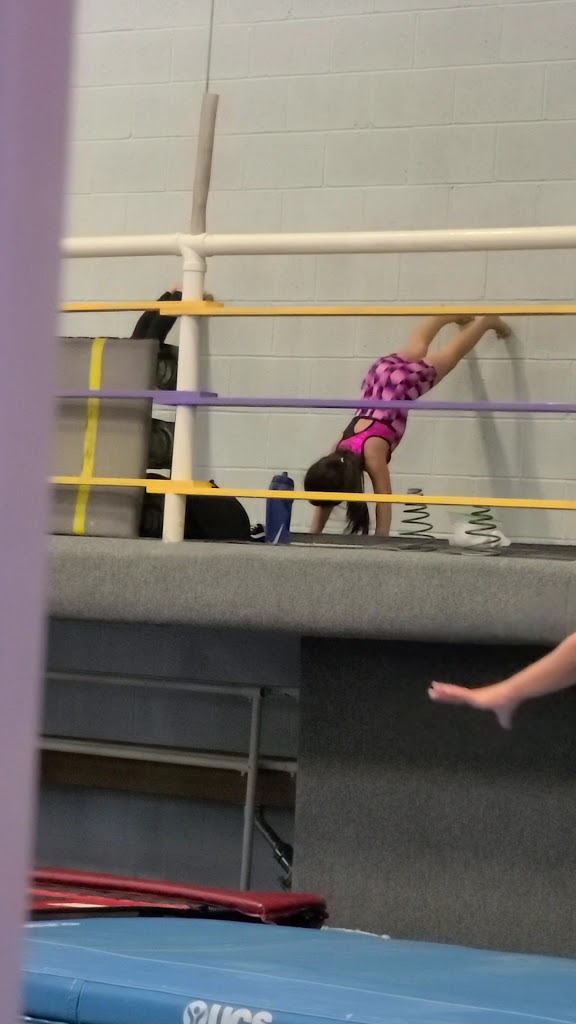  Connections Gymnastics School
