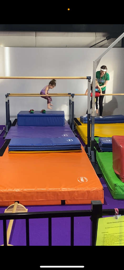  Chasing Gravity Activity Center