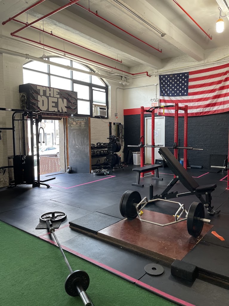  Iron Lion Performance