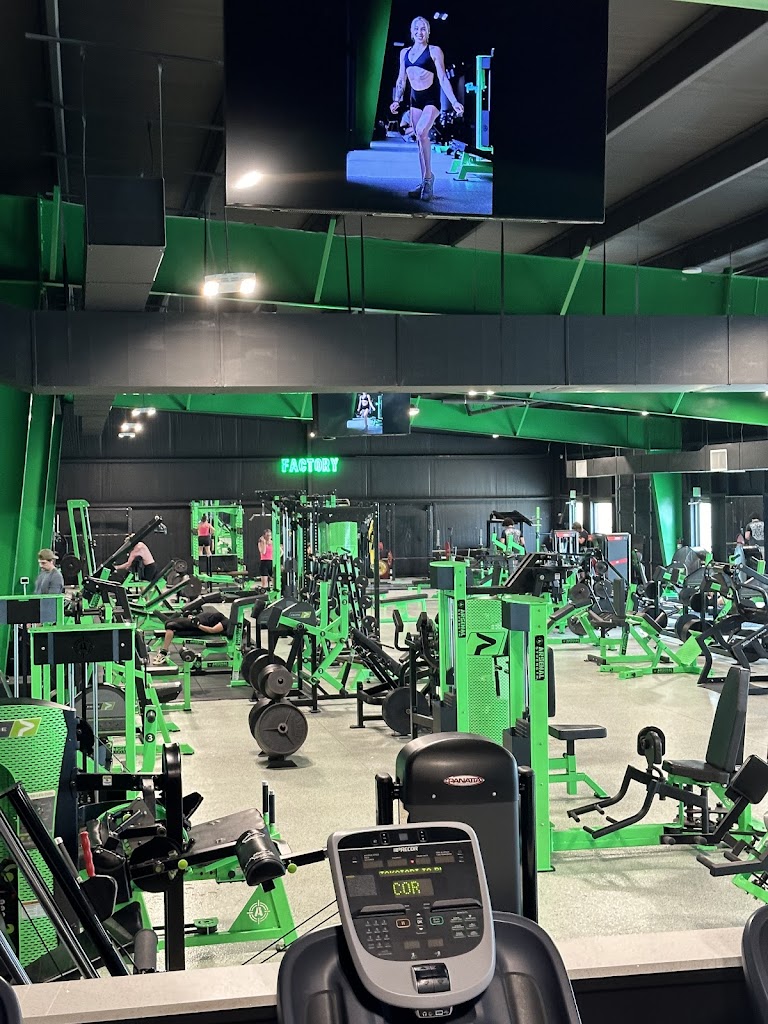  Factory Gym