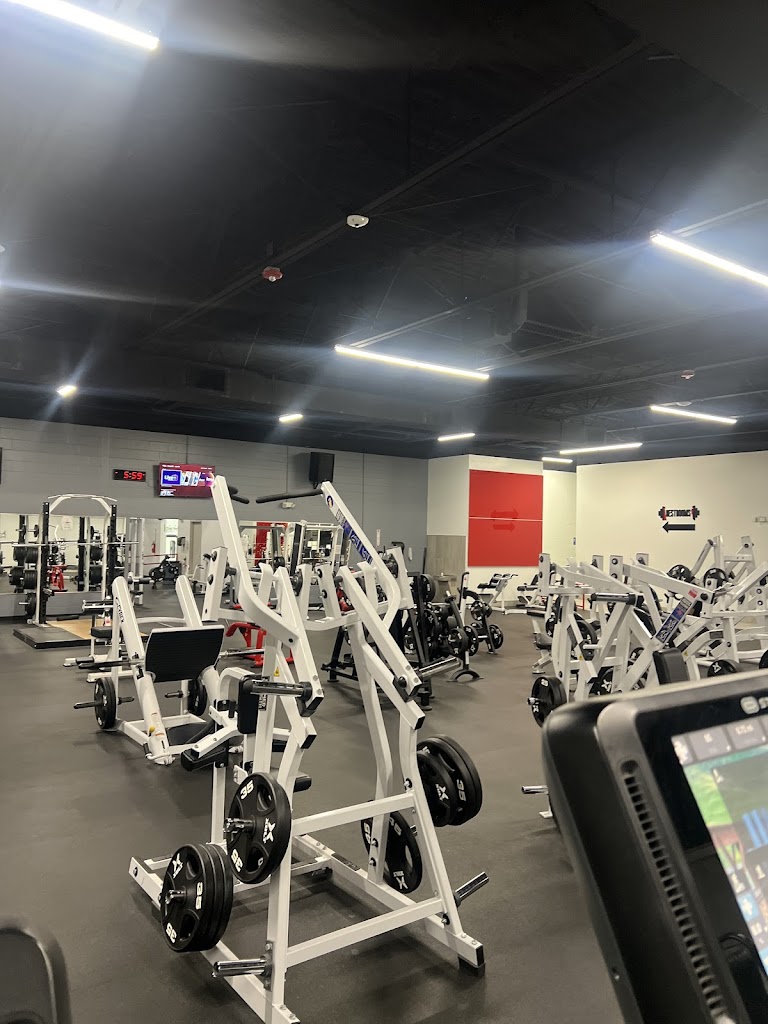  The Gym Legacy E. Saunders