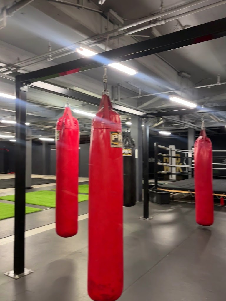  Tone Body Fitness XL