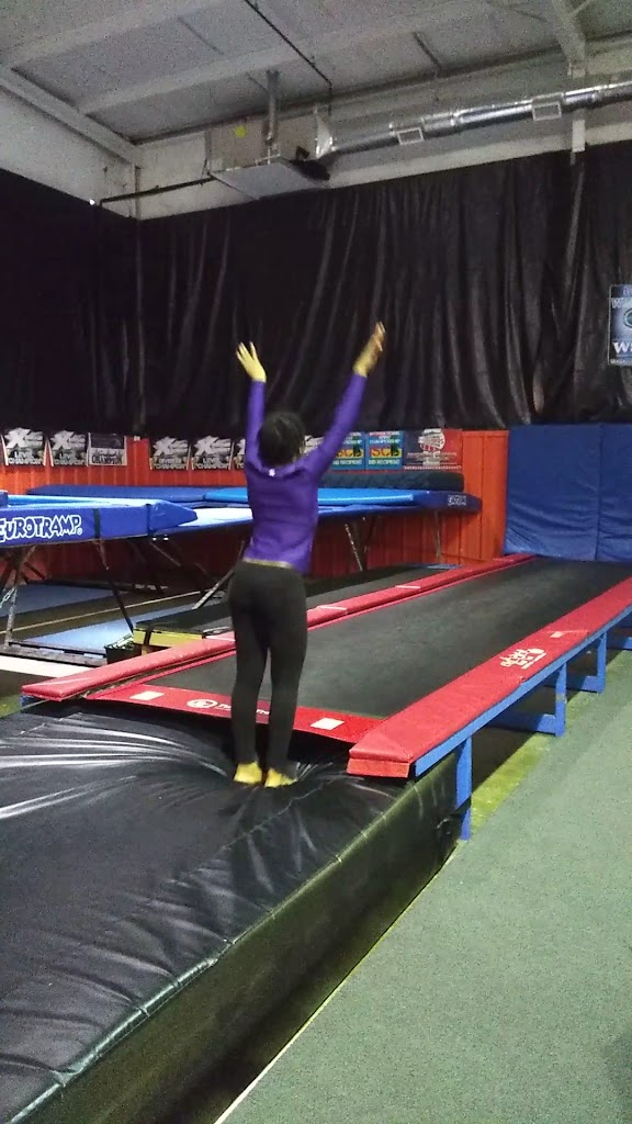  Cheer Time Revolution